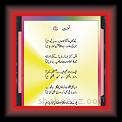 Naat ( Ahmid Nadim Qasmi 02 * 22.03.2008 * 537 x 816 * (62KB)